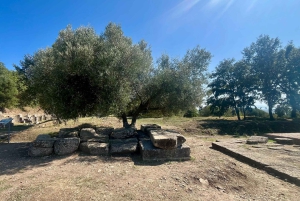 Tirana: Apollonia & Karavasta-Lagune – Tagestour mit Mittagessen