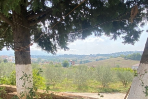 Tirana SpiritualTour:Bektashi World Center&Mount Dajti Views