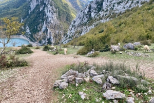 Tirana: Bovillan järvi ja Gamti-vuori – vaellus ja lounas