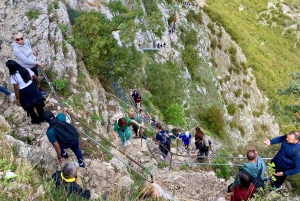 Tirana: Bovillan järvi ja Gamti-vuori – vaellus ja lounas