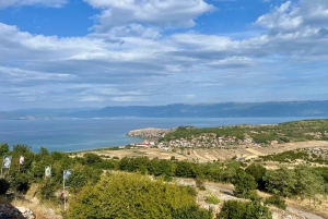 ティラナ発：エルバサン要塞、リン村、オフリド湖ツアー