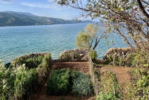 ティラナ発：エルバサン要塞、リン村、オフリド湖ツアー