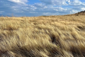 ティラナ発：エルバサン要塞、リン村、オフリド湖ツアー
