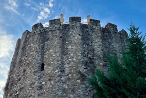 ティラナ発：エルバサン要塞、リン村、オフリド湖ツアー