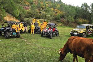 Tirana: tour guidato in buggy con snack e bevande