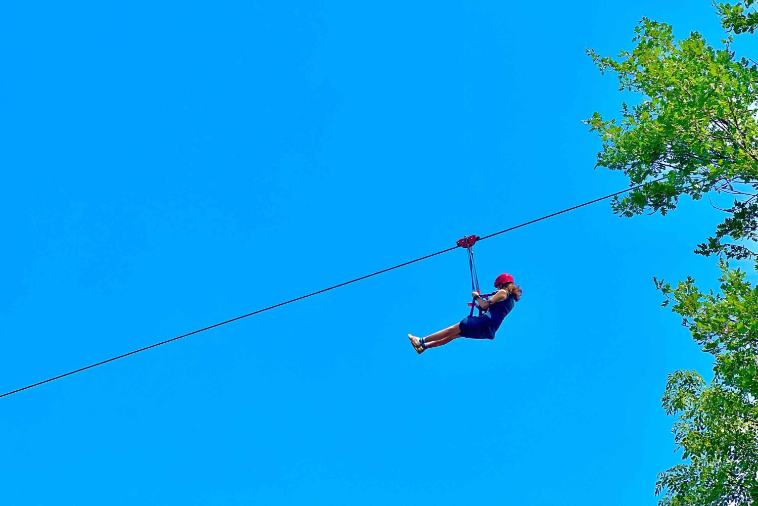 Tirana: Zipline Albania Adventure, Balkanin pisin