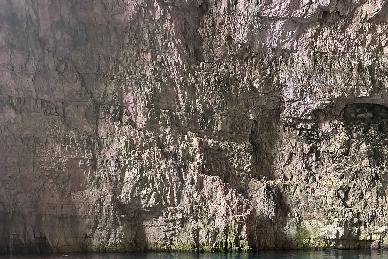 Vlore: Private Schnellboottour zum Sazan-Karaburun Meerespark