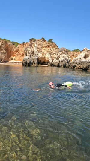 Adamastor Swim Adventures