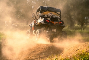 Albufeira: Aventura de Buggy Off-Road