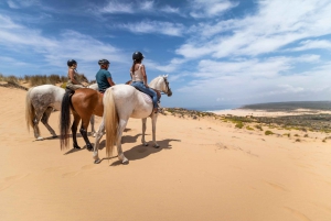Algarve: 1-Hour Carrapateira Horseback Riding Tour