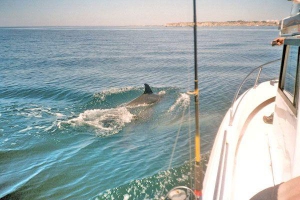 Excursions en bateau à Alvor