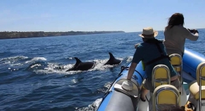 Excursions en bateau à Alvor