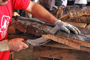 Visita à fábrica de cortiça
