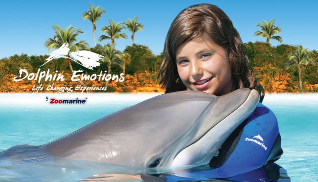 Emozioni dei Delfini