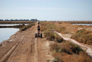 Faro: Ria Formosan luonnonpuisto Segway Tour & Birdwatching