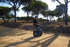 Faro: Ria Formosan luonnonpuisto Segway Tour & Birdwatching