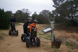 Faro: Ria Formosan luonnonpuisto Segway Tour & Birdwatching