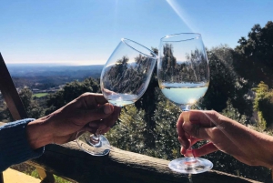 Depuis Albufeira : visite d'une demi-journée des vignobles et de Silves