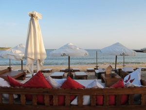 NoSoloAgua Beach & Pool Club