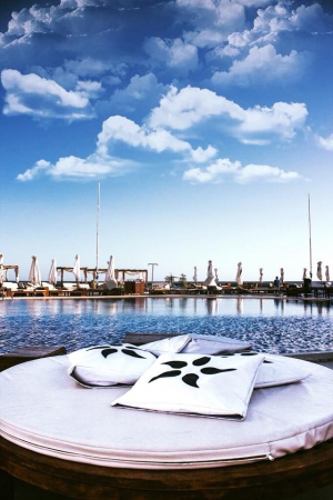 NoSoloAgua Beach & Pool Club