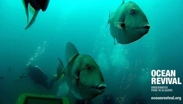 Ocean Revival Underwater Park