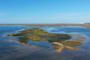 Ria Formosa: Passeio de barco de 3 horas pelas ilhas da Armona e Culatra