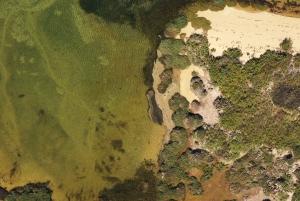 Ria Formosa : tour en bateau de 3 heures des îles Armona et Culatra