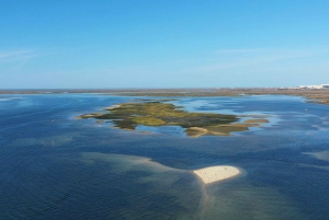 Ria Formosa : tour en bateau de 3 heures des îles Armona et Culatra