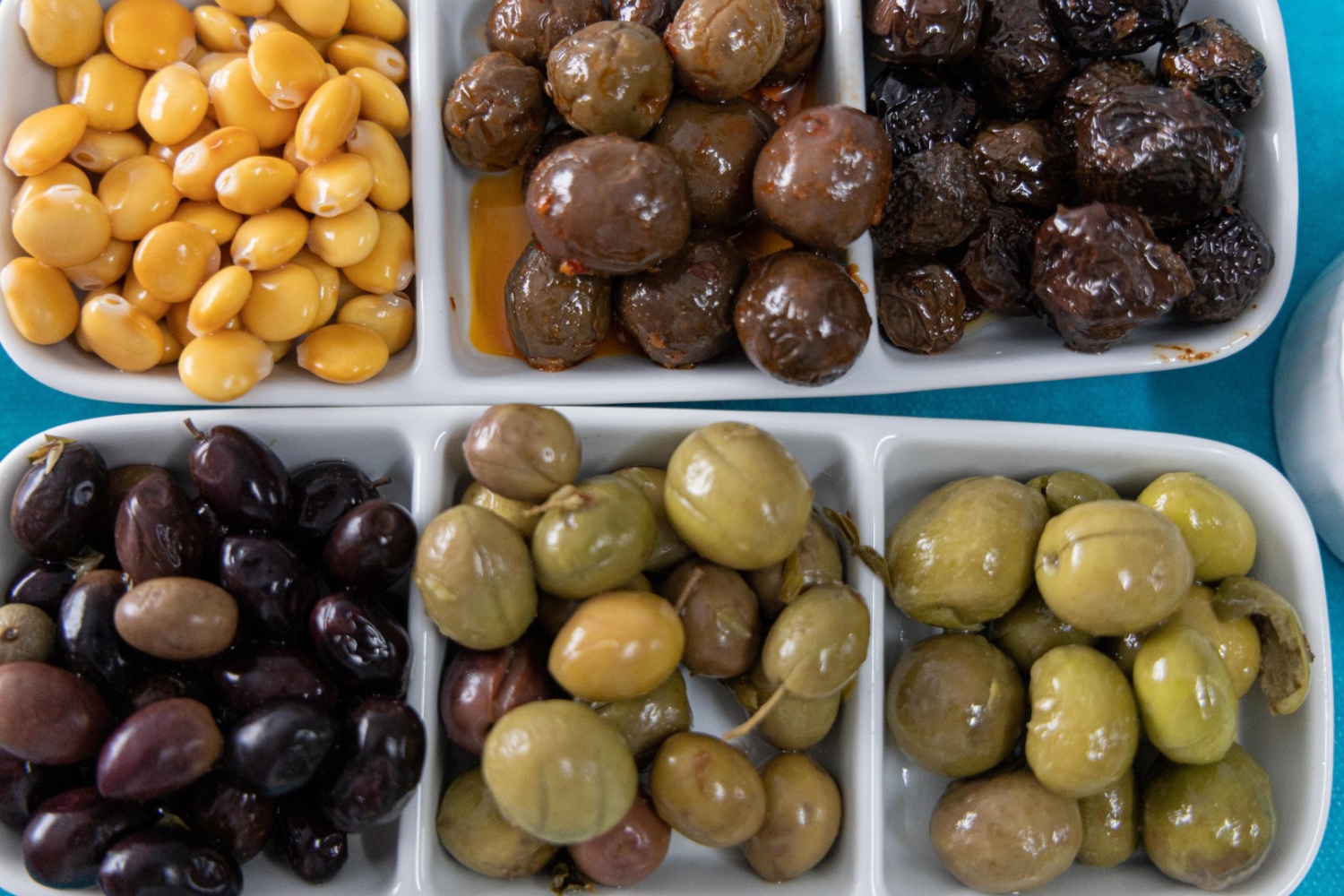 Olive Factory Tour & Tasting