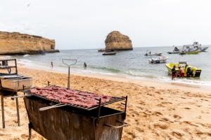 Ophelia Coastal Cruises