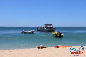 Ophelia Coastal Cruises