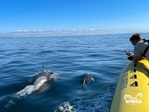 Portitours Day Trips and Activities in the Algarve