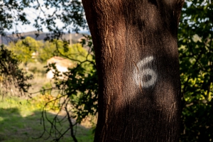 Portitours Day Trips and Activities in the Algarve