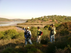 Portitours Day Trips and Activities in the Algarve