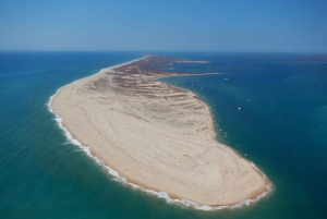 Ria Formosa : tour en bateau de 3 heures des îles Armona et Culatra