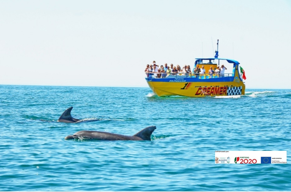 Dream Wave Boat Trips