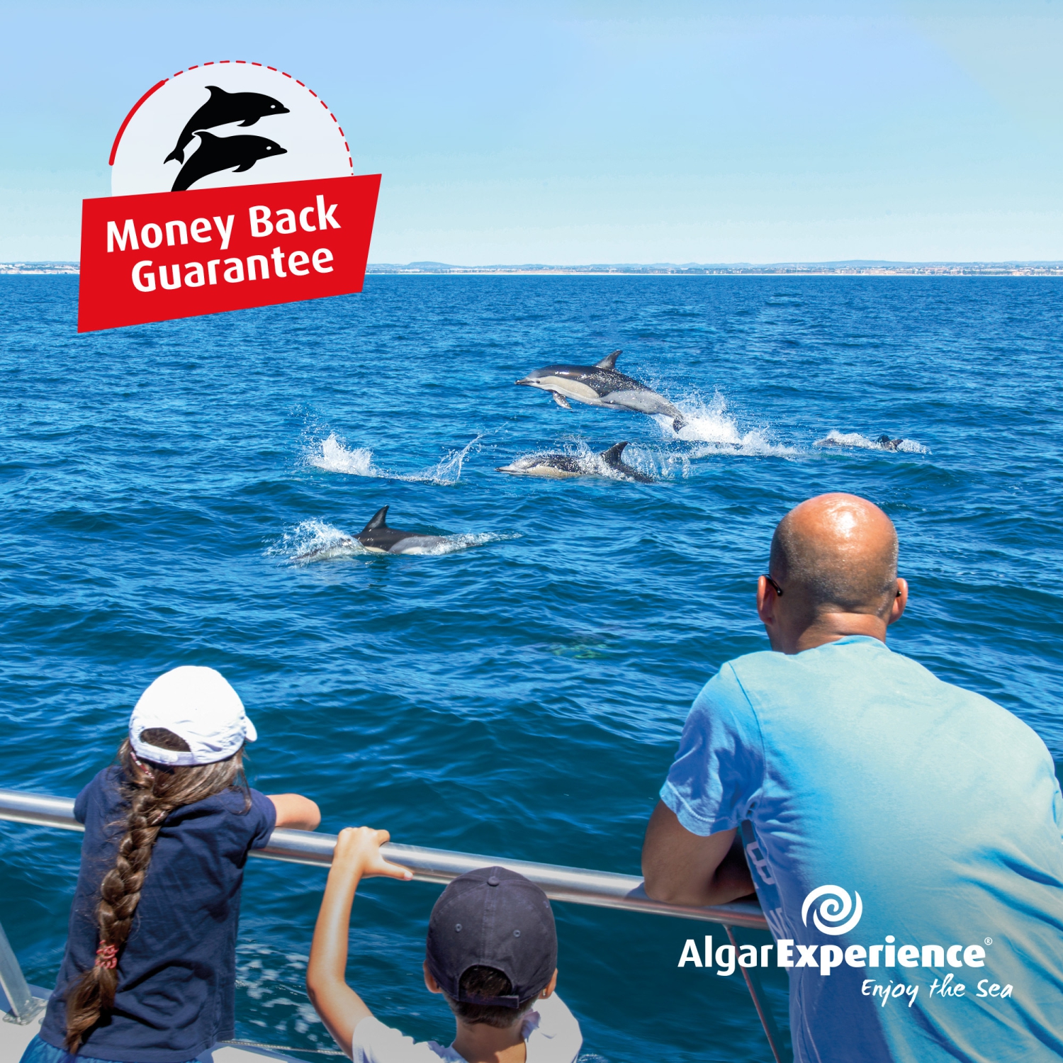 Dolphin Watching Money Back Guarantee med AlgarExperience
