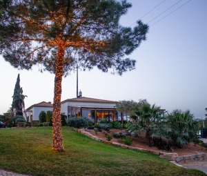 Lunch at Tribulum €10