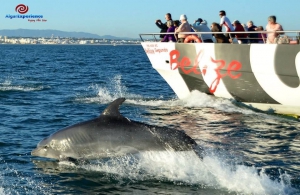 Residents Discount at AlgarExperience