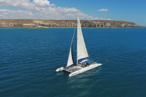 Alicante: Crucero de 3 horas en catamarán por la costa