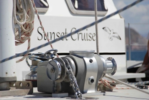 Alicante: Crucero de 3 horas en catamarán por la costa