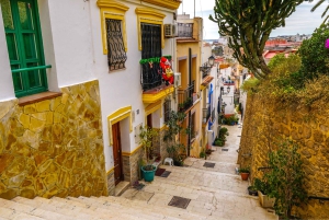 Tour a pie por Alicante: monumentos y vida local