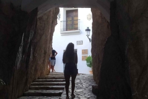 Alicante Benidorm: Algar-vattenfallet och Guadalest-slottet med bil