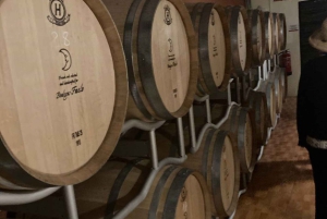 アリカンテ／ベニドルムで最高のワイナリーツアー（テイスティング付き）をお楽しみください