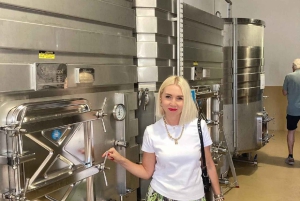 アリカンテ／ベニドルムで最高のワイナリーツアー（テイスティング付き）をお楽しみください