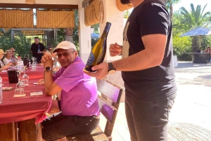 アリカンテ／ベニドルムで最高のワイナリーツアー（テイスティング付き）をお楽しみください