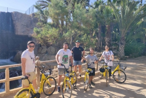 Alicante: Stadsvandring och strandcykeltur