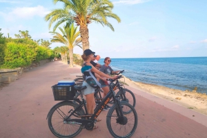 Alicante: E-Bike- og vandretur langs kysten