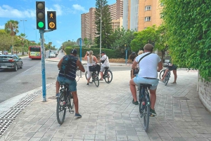 Alicante: E-Bike- og vandretur langs kysten