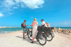 Alicante: E-Bike- og vandretur langs kysten